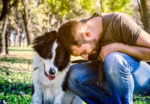 A man kneeling on grass gently leans his forehead against a black and white dog’s head in a park, both appearing relaxed and happy in the sunlight.
